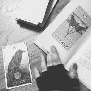 Black and white image of a deck of cards, and overturned card with an illustration of a crow with the word "Crow," and a hand holding a book open to a page with an illustration of a dragonfly with the word "Dragonfly" under it. The cards are Animal Spirit, tarot like cards.